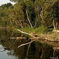 Along The Shore - Brandywine